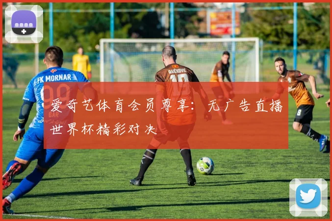 爱奇艺体育会员尊享：无广告直播世界杯精彩对决