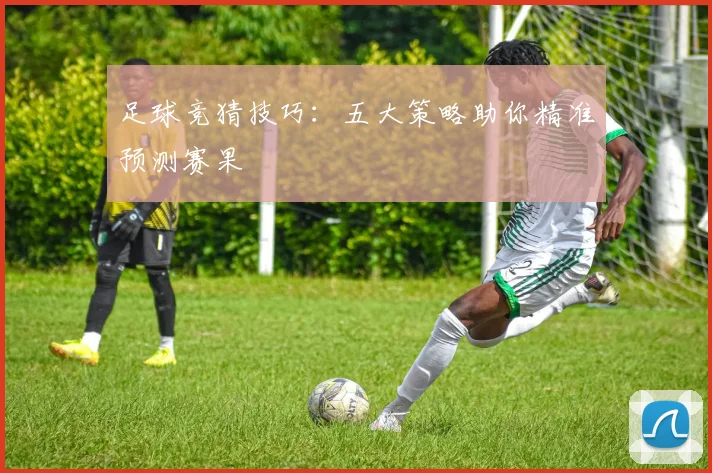 足球竞猜技巧:五大策略助你精准预测赛果